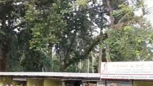 Gubernur Jakarta Pastikan Penertiban Pasar Barito