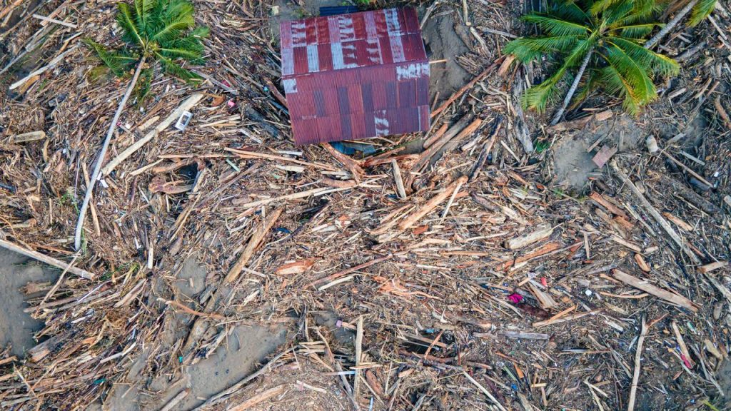 Kayu Terdampar di Lampung Bukan Hanyut dari Banjir Sumatera